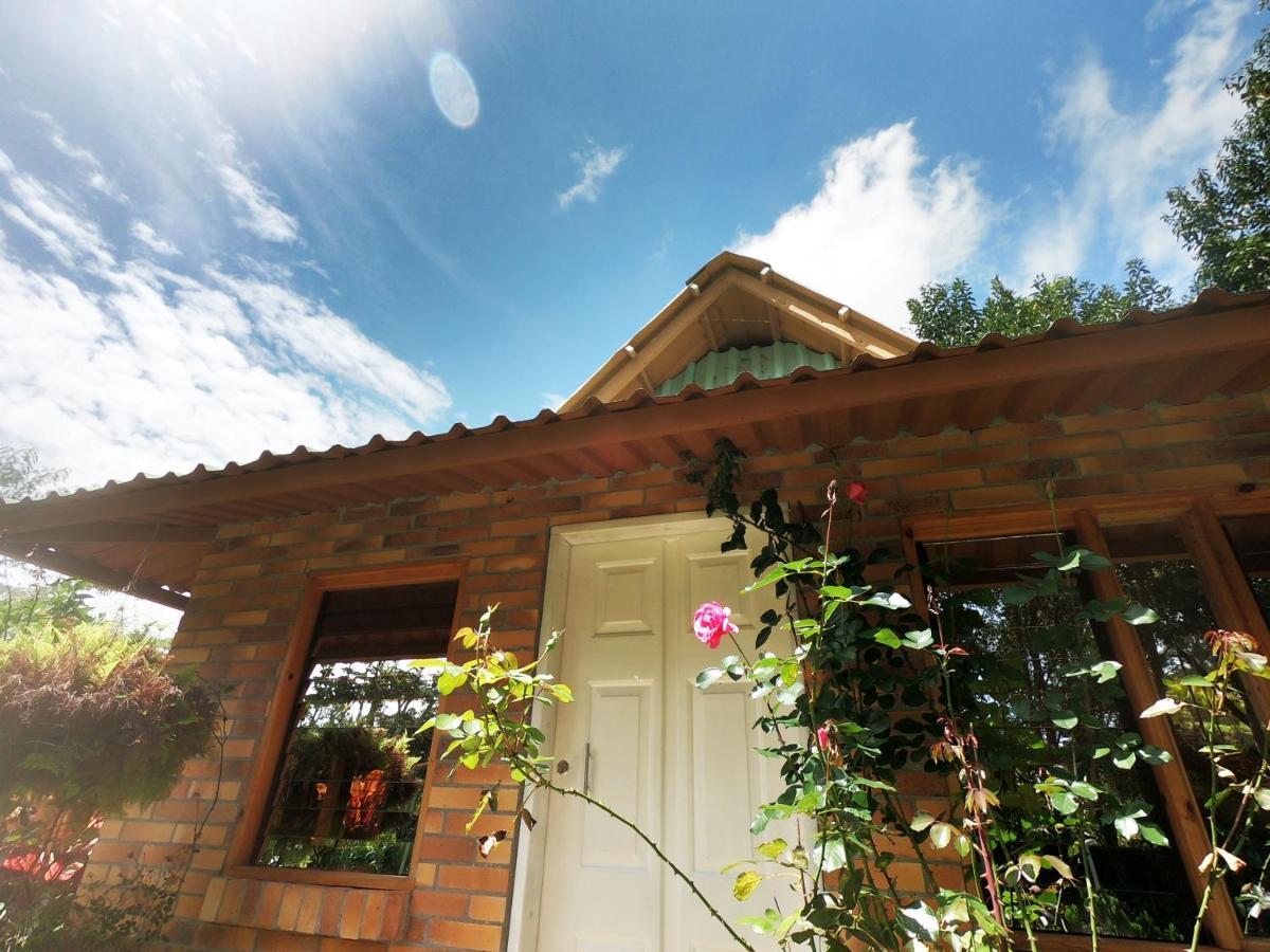 Tribu Ecohostal Los Santos  Dış mekan fotoğraf