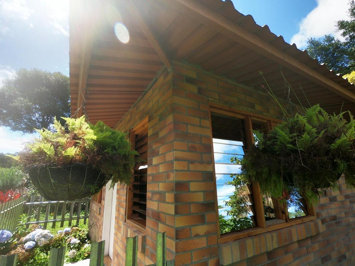 Tribu Ecohostal Los Santos  Dış mekan fotoğraf