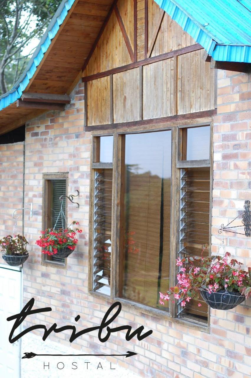 Tribu Ecohostal Los Santos  Dış mekan fotoğraf