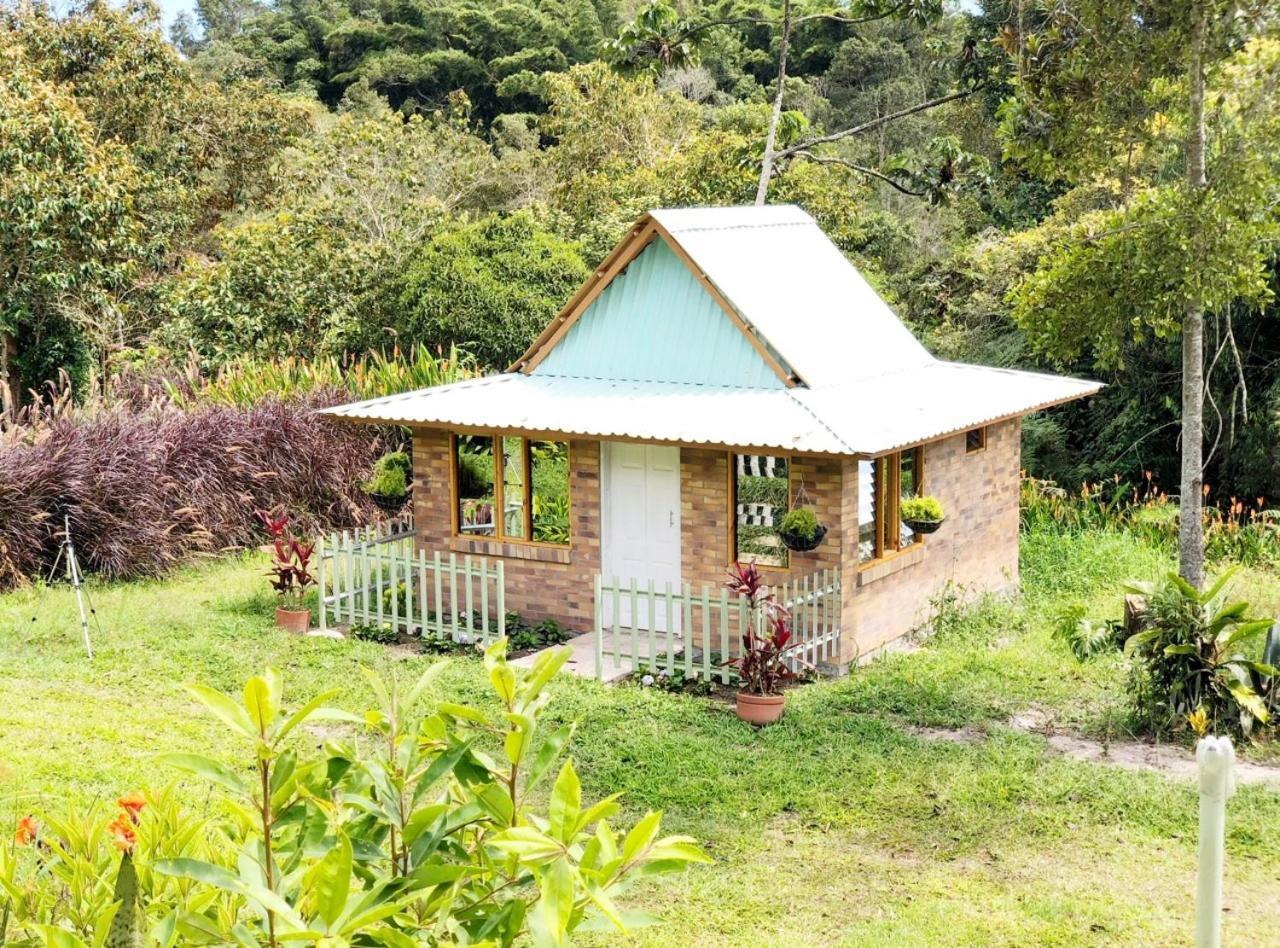 Tribu Ecohostal Los Santos  Dış mekan fotoğraf