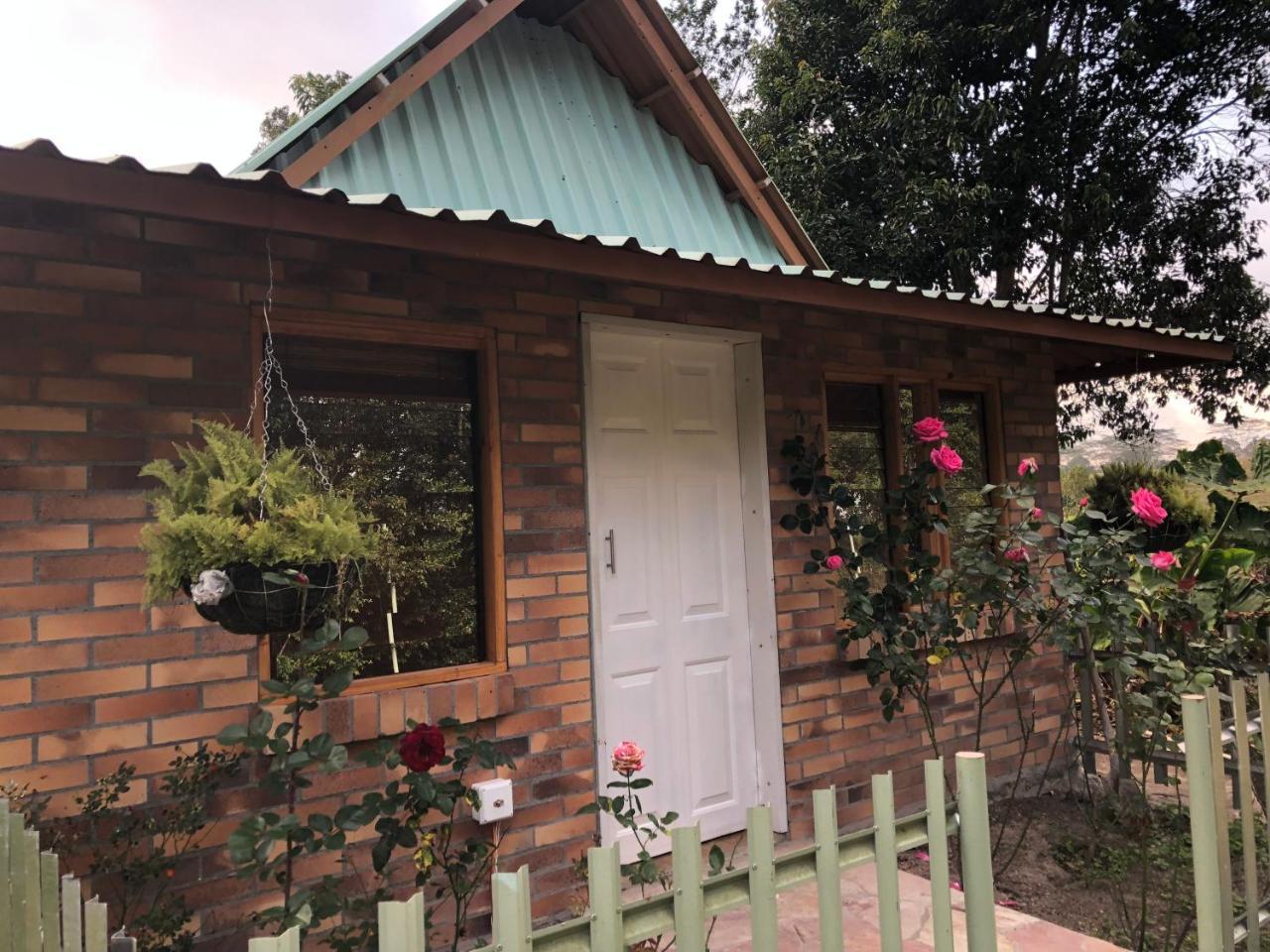Tribu Ecohostal Los Santos  Dış mekan fotoğraf